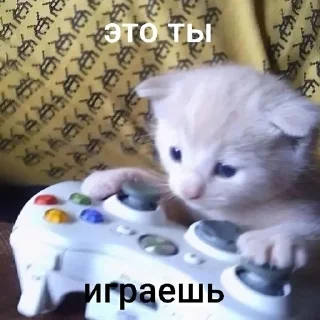 🎮 emoji котики=ты Telegram sticker 6 of 39