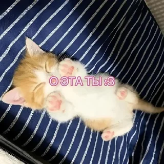 🌟 emoji котики=ты Telegram sticker 20 of 39