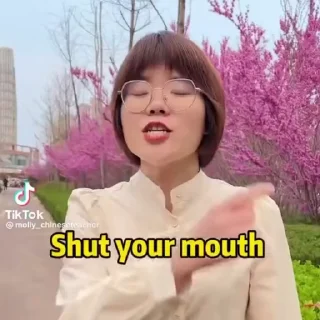🤫 emoji chinese teacher molly Telegram sticker 9 of 40