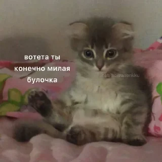 🥺 emoji лавчик ❤️ Telegram sticker 10 of 23
