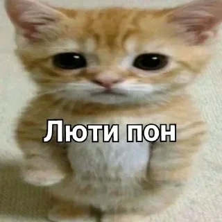 👍 emoji Пон Telegram sticker 8 of 21