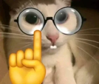 😎 emoji лох Telegram sticker 11 of 19