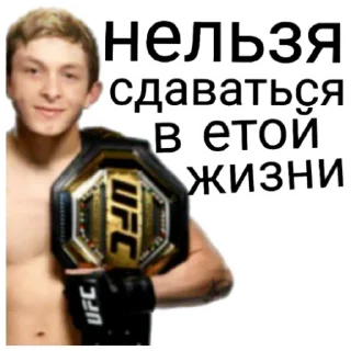🍔 emoji Мага нацист Telegram sticker 15 of 30