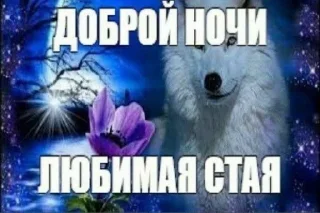 🌃 emoji катя самая прекрасная женщина Telegram sticker 5 of 43