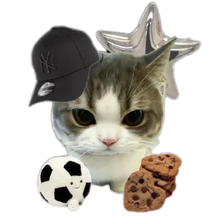 Sticker from meowwemii