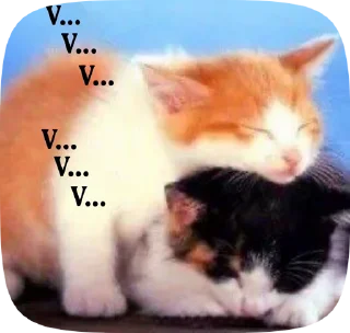 💤 emoji кискискис Telegram sticker 18 of 52