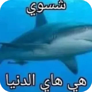 🦈 emoji @I2yf7I would never mate Telegram sticker 13 of 120