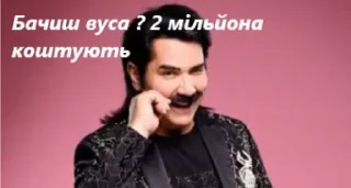 🌟 emoji Тігри  🇺🇦🇺🇦🇺🇦 Telegram sticker 24 of 50