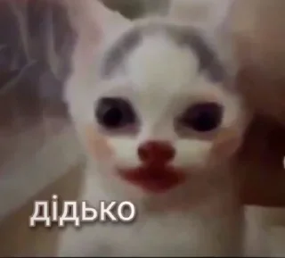 Sticker from Мєми