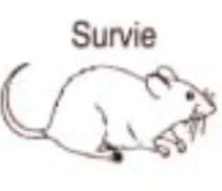 🫀 emoji пупа элефант @pupitrup Telegram sticker 22 of 27
