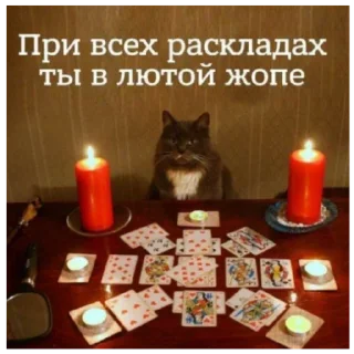 😉 emoji Котеки Telegram sticker 14 of 30