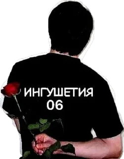 🌹 emoji Айна в городе @a13brs Telegram sticker 5 of 120