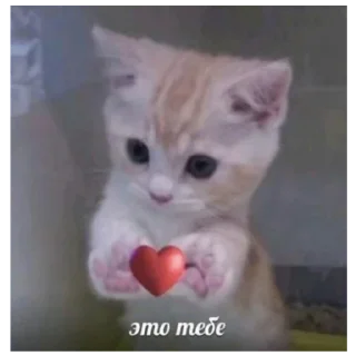 ❤️ emoji Котеки Telegram sticker 13 of 30