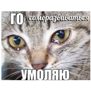 😭 emoji Котеки Telegram sticker 9 of 30