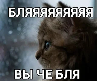 Sticker from котеки