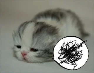 🫤 emoji котеки Telegram sticker 21 of 73