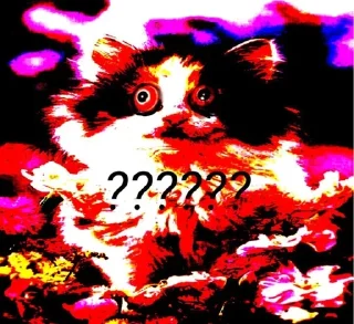 ❓ emoji котеки Telegram sticker 19 of 73