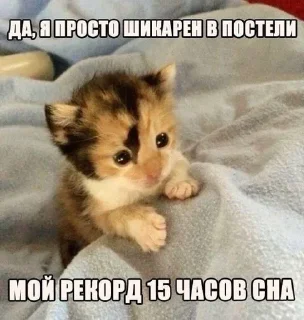 🌟 emoji ААААА Я НА МЕФЕ Telegram sticker 22 of 106