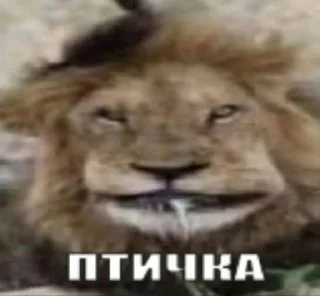 🌟 emoji ААААА Я НА МЕФЕ Telegram sticker 24 of 106