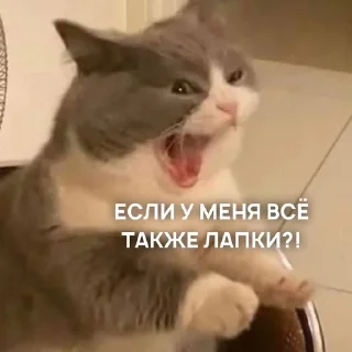 😐 emoji Хи-хи ха-ха Telegram sticker 7 of 120