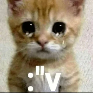 🥺 emoji что Telegram sticker 10 of 10