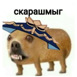 Sticker from Пакетик брать будете?