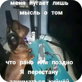 👍 emoji Чайный пакетик Telegram sticker 24 of 24