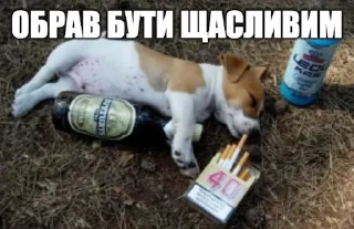 😊 emoji Партія пса Патрона @patronsobaka Telegram sticker 7 of 78