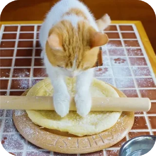 👨‍🍳 emoji кисячим Telegram sticker 21 of 25
