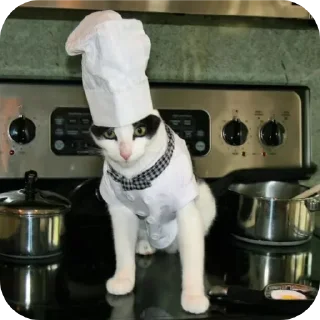 👩‍🍳 emoji кисячим Telegram sticker 20 of 25