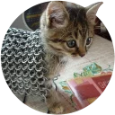 😼 emoji Kittens Telegram sticker 23 of 120
