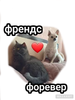 🌟 emoji Писюльки Telegram sticker 10 of 23
