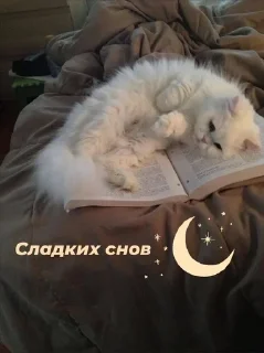 🥱 emoji Лесная ягодка Telegram sticker 7 of 59