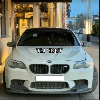🤭 emoji BMW PRAKYRATYRA Telegram sticker 8 of 34