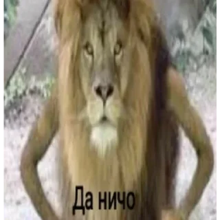 👌 emoji взлом жопы Telegram sticker 3 of 76