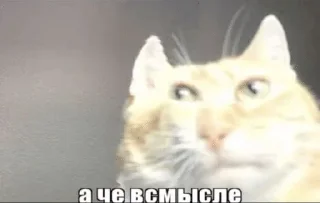 Sticker from Мемчеге №2