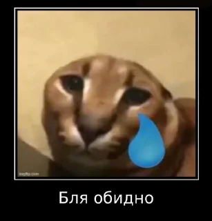 😿 emoji Мемаебель Telegram sticker 5 of 25