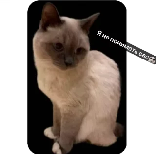 🌟 emoji Пельмени Telegram sticker 5 of 13