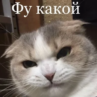 😖 emoji Бывает Telegram sticker 23 of 90