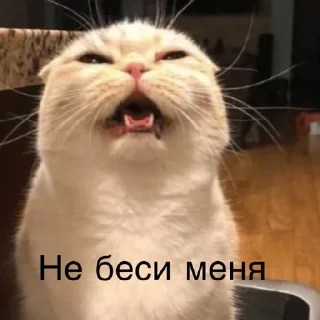 😤 emoji Бывает Telegram sticker 22 of 90