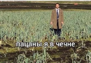 🌟 emoji мемасики :з Telegram sticker 6 of 33