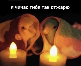 🍺 emoji сколиоз Telegram sticker 21 of 120