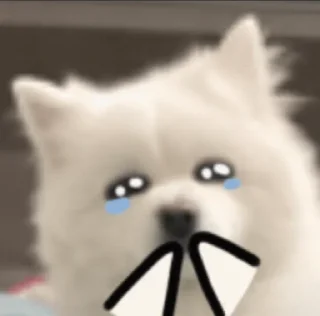 😂 emoji китайские стикеры от @waummtea Telegram sticker 7 of 16