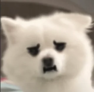 😐 emoji китайские стикеры от @waummtea Telegram sticker 6 of 16