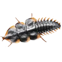 👣 emoji Психически здоровые мужчины Telegram sticker 11 of 120