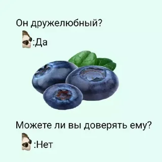 Sticker from Димочка из тнб