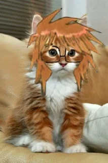 🐱 emoji ранфрен и не только Telegram sticker 5 of 17