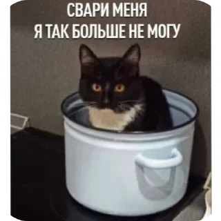 😔 emoji я кот и мне пох Telegram sticker 11 of 56