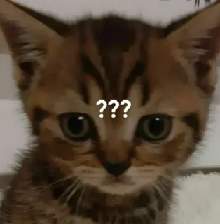 🪄 emoji хто не скаче той москаль Telegram sticker 15 of 120