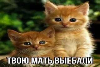 😝 emoji хто не скаче той москаль Telegram sticker 14 of 120